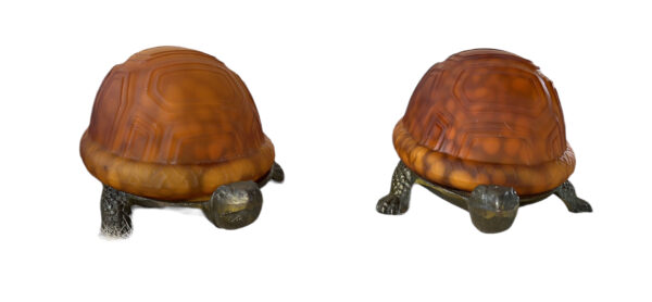 veilleuses tortues