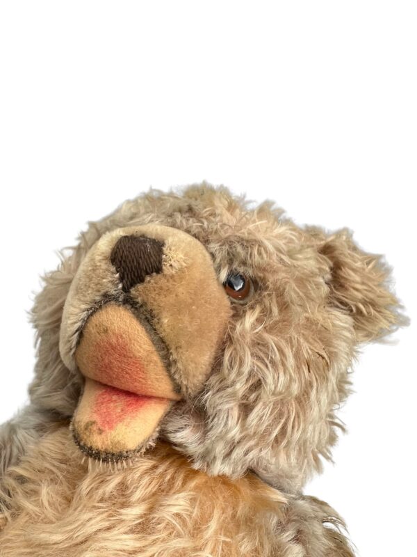 Ancienne peluche L'ours Hermann Zotty