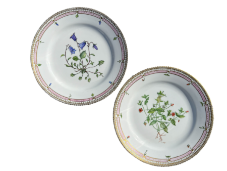 Assiettes en porcelaine style royal