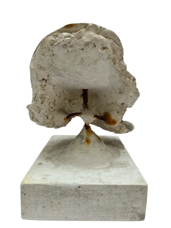 Paire de visages en plâtre, objet de curiosité